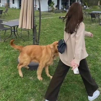 故乡的痕迹